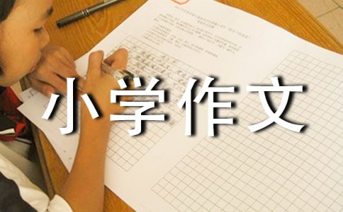 我愛書法小學作文合集八篇