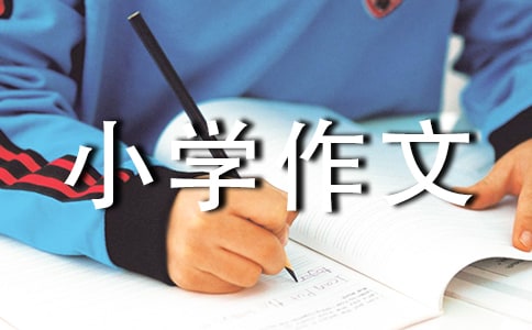 我愛(ài)書(shū)法小學(xué)作文3篇