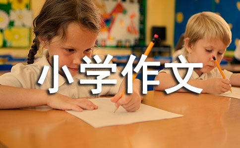 我愛書法小學作文5篇