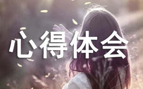 辦公軟件實訓(xùn)心得體會3篇(熱)
