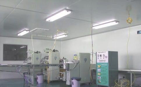 藥廠頂崗實習報告范文