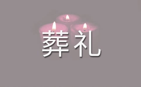 在莫泊桑葬禮上的演講教案