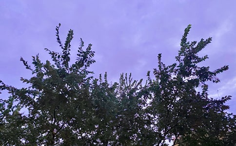 ���P��ܰ�簲�İ�70�侫�x
