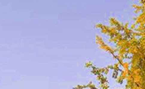推薦唯美早安祝福語40句精選