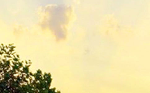 �P(gu��n)�ڜ�ܰ�簲ף���Z(y��)��ȫ�����x185�䣩
