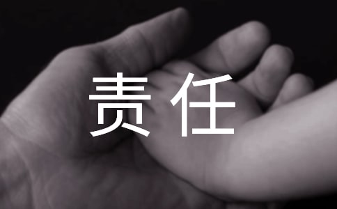 治安責任保證書范文集合