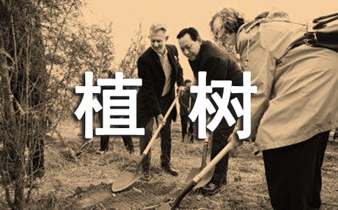 關(guān)于植樹(shù)演講稿24篇