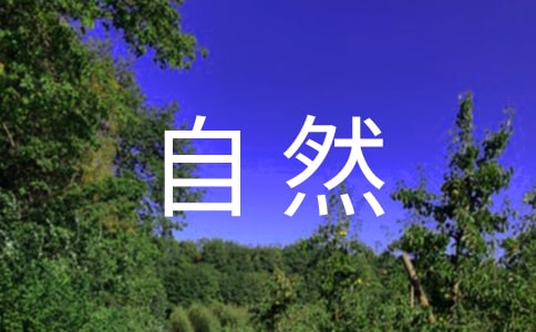 ����Ȼ���Z���n��˼��ͨ��19ƪ��