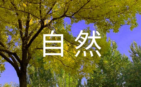 《大自然的聲音》評課稿(優秀)