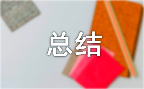 信息技術2.0小組總結范文(精選12篇)