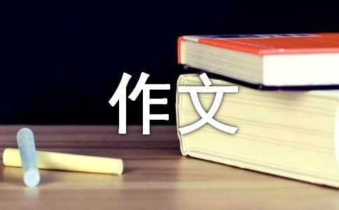 (優秀)西游記作文