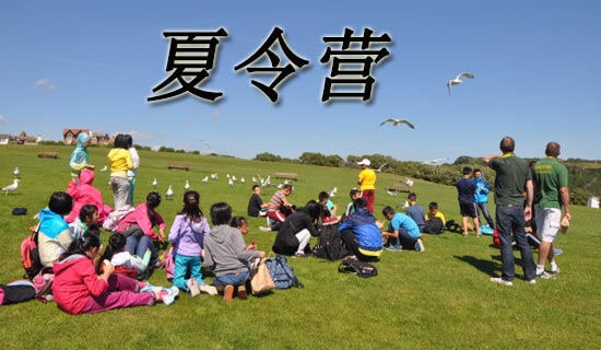 ����I���̵���ٌ��`�ĵ��w��